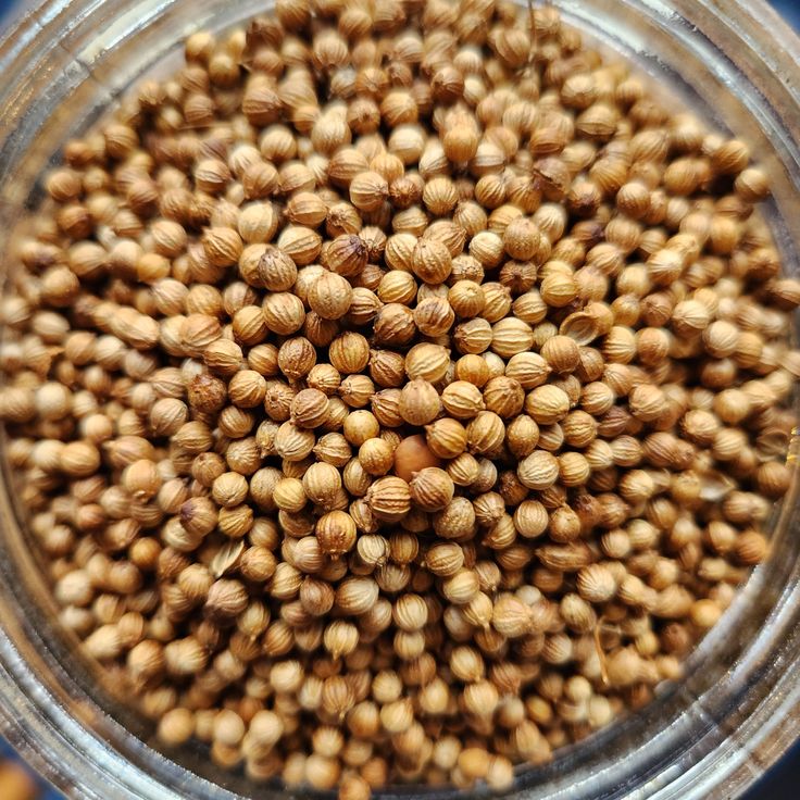 Coriander Seed