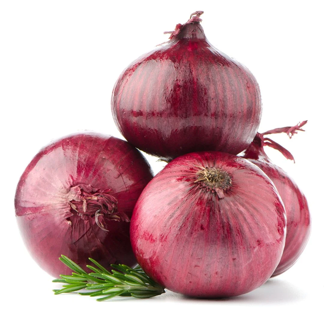 Onion - Image 2
