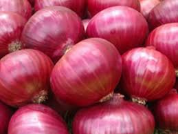 Onion - Image 3